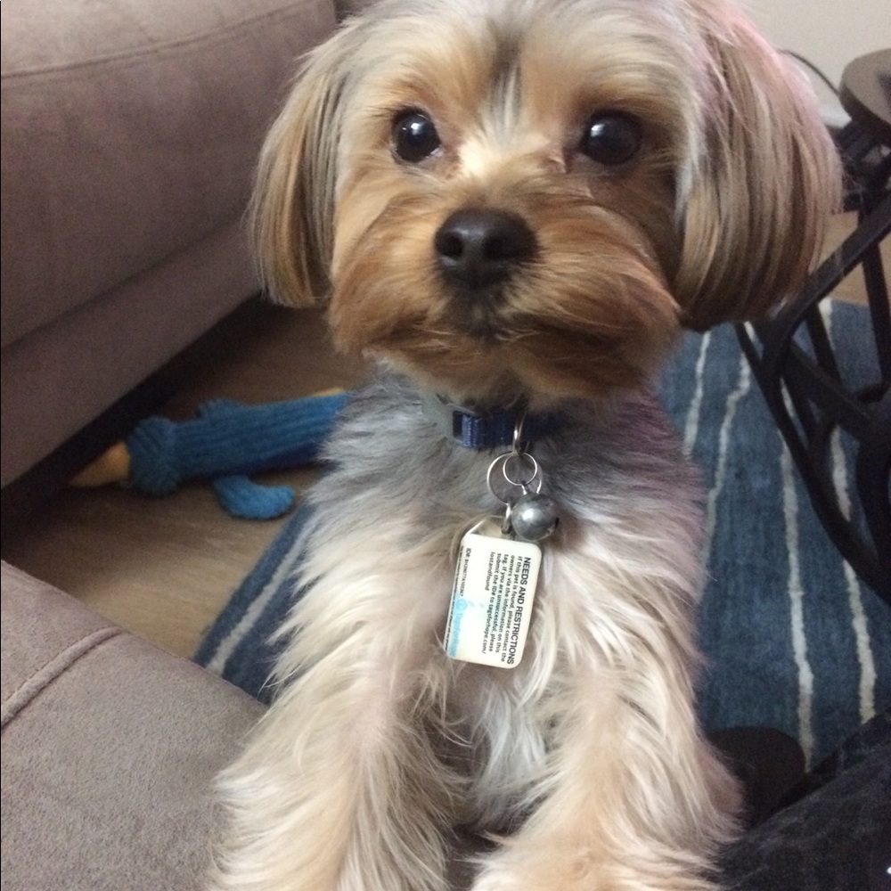 Meet your Posher, Tamara